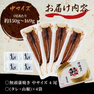 鹿児島県産 伊崎田のうなぎ蒲焼 中＜150g以上＞× 4尾(計600g以上) うなぎ 鰻 ウナギ 国産 鹿児島県産 九州産 蒲焼き 冷凍 うな重 ひつまぶし b7-020