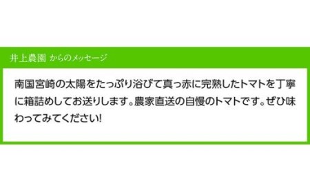 【令和9年発送】【訳あり】宮崎県産フルーツトマト「あいちゃん」3kg 