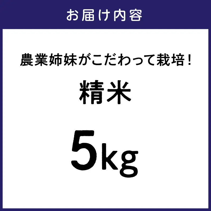 農業姉妹がこだわって栽培！こだわりのお米 白米5kg【024D-005】