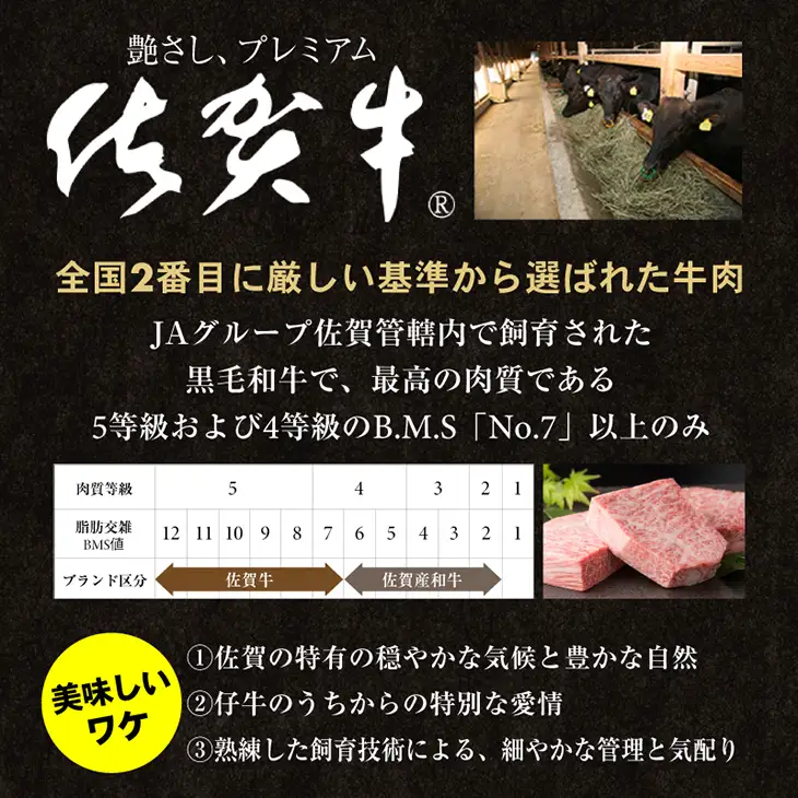 佐賀牛 ロースステーキ 800g ステーキ 牛肉  D440-003