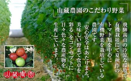 【2026年夏】飛騨高山産 有機栽培 トマト「彩り トマト」 1kg |  JC007