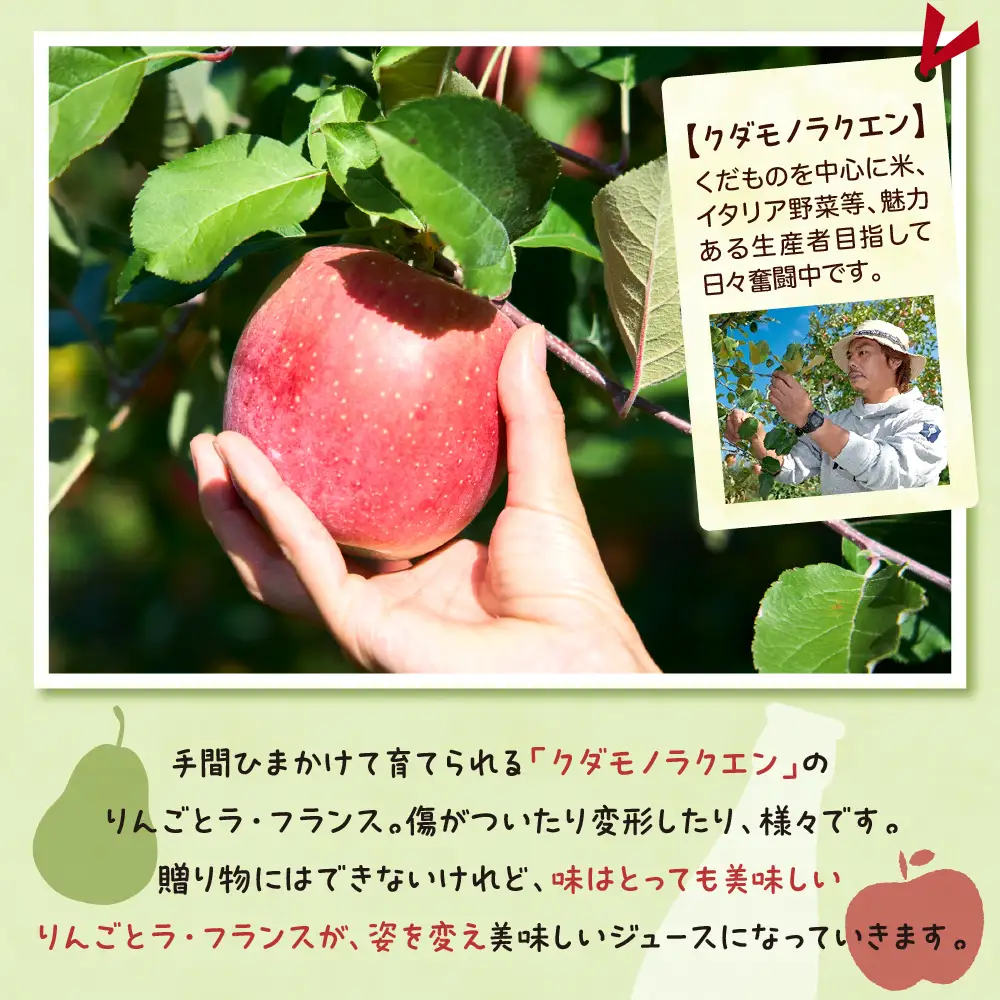 ジュース 手絞り りんご ラフランス ジュース 3本セット ジュース