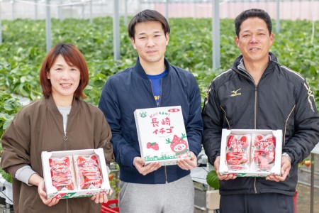 EA050【令和9年1?4月発送】長崎県知事賞受賞 大玉いちご ゆめのか 3L～5L 265g×4パック