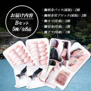 鹿児島県長島町産 鰤づくしBセット(全5種)国産 ブリ ぶり 刺身 刺身用