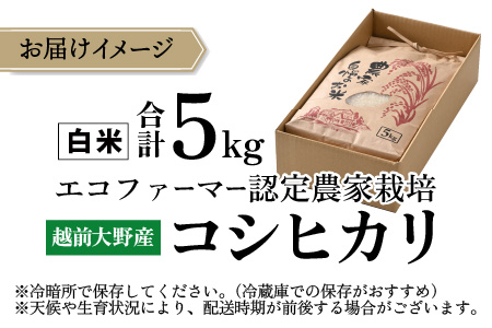 【令和7年産】【有機栽培】エコファーマー認定農家栽培 コシヒカリ5kg（白米） [A-001034]