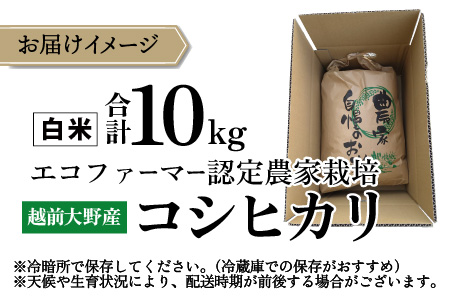 【令和7年産】【有機栽培】越前大野産 エコファーマー認定農家栽培 コシヒカリ10kg（白米）[A-001035]