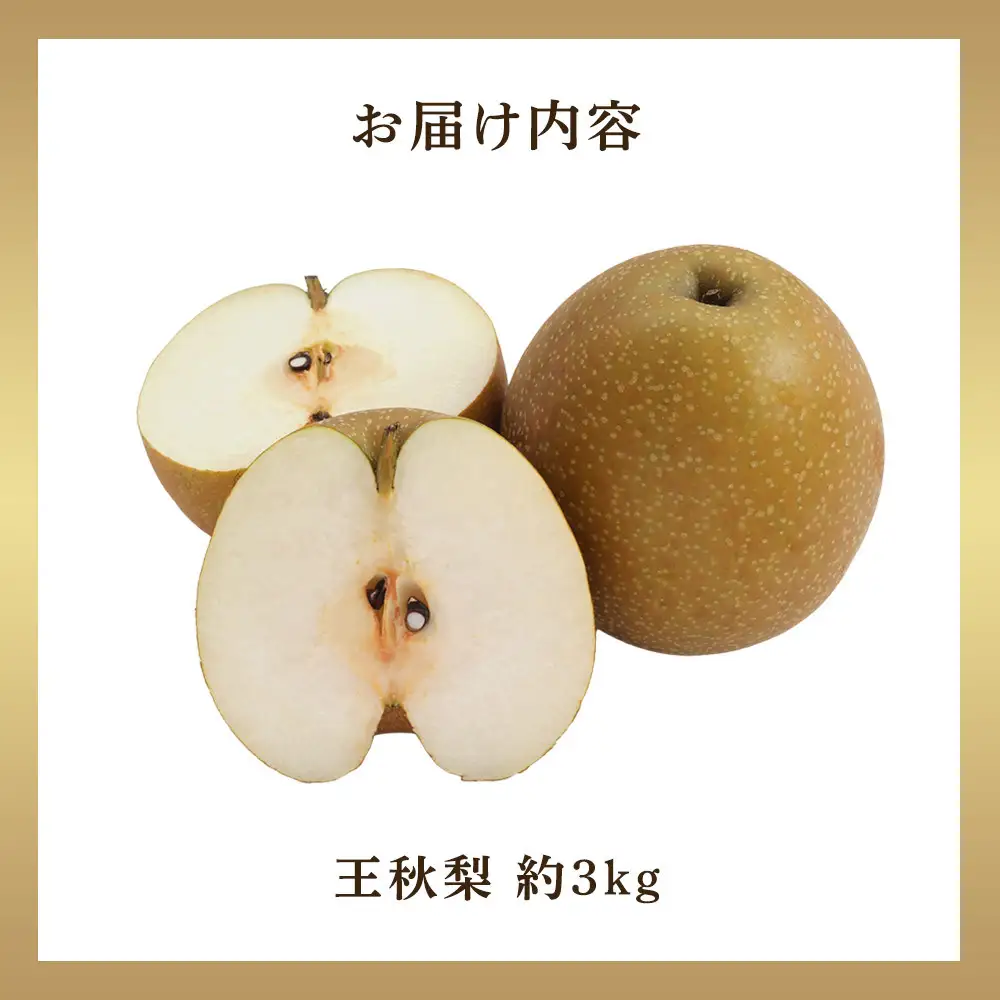【先行予約】王秋梨 3kg前後 ※2026年10月下旬～12月上旬頃に順次発送予定 【梨 なし 果物 フルーツ くだもの 鳥取県産 北栄町 おすすめ 人気】