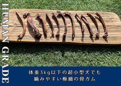 FB170_超小型犬向け☆天然いのししの骨ガム100g【定期便】全6回