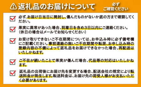 【訳あり】 河内晩柑 愛南ゴールド 5kg 河内晩柑