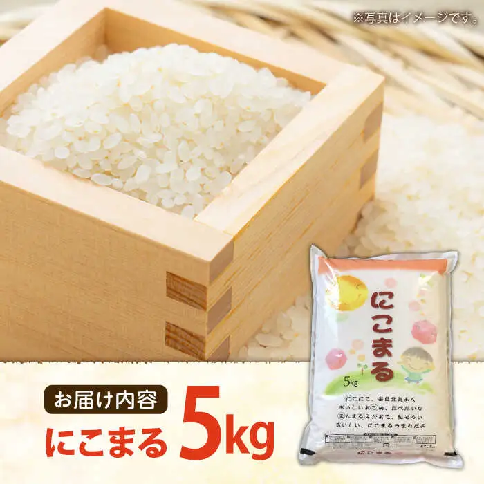 長崎県産 精米 にこまる 5kg / 南島原市 / 大松屋商店 [SDR001]