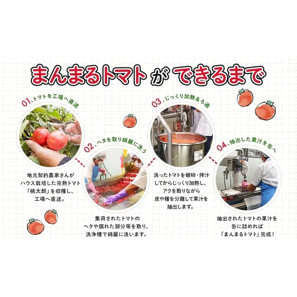 トマトジュース 月形まんまるトマト 食塩不使用【190g×30本】【9ヶ月定期便】