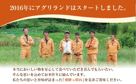 【令和8年産】こしひかり飛騨っ晴れ 玄米 10kg 生産者直送 お米 コシヒカリ 飛騨産 飛騨高山 アグリランド  JF004-26