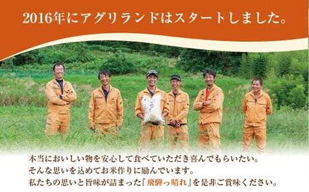 【定期便】こしひかり飛騨っ晴れ 玄米 10kg 6回 お届け 生産者直送 お米 コシヒカリ 飛騨産 飛騨高山 アグリランド  JF106