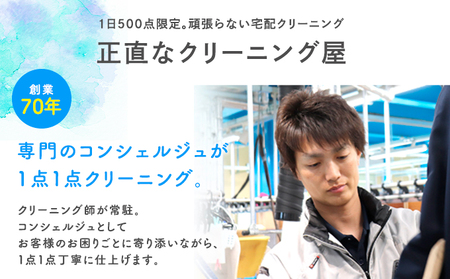 【1年間有効】衣類の宅配クリーニング　15点パック【配送不可：北海道・沖縄・離島】 浜松市