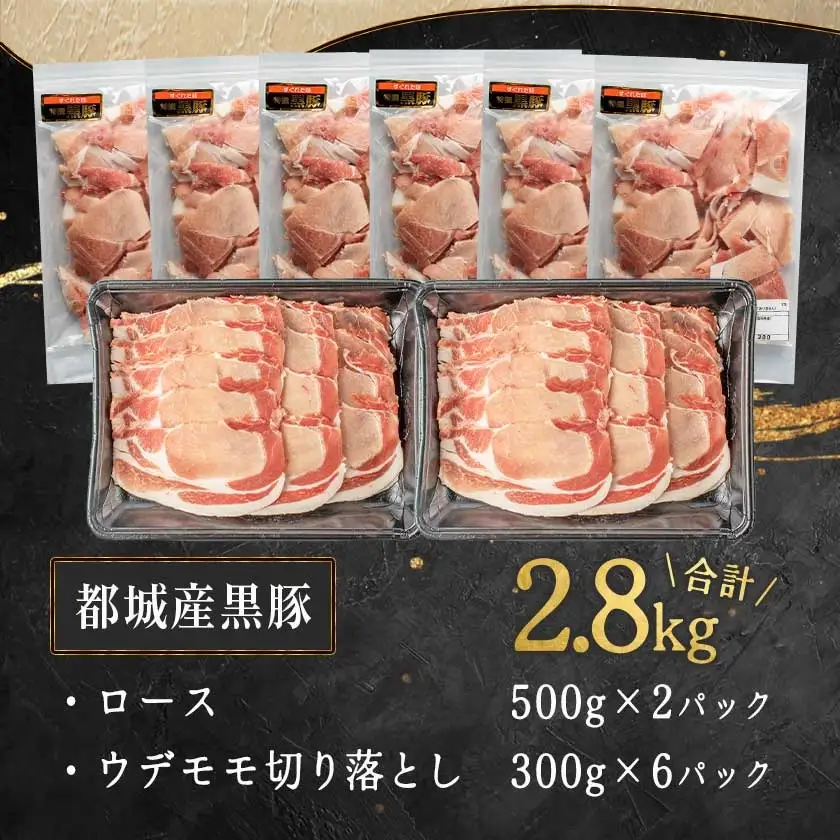 黒豚ロース＆ウデモモ切り落とし2.8kg〔AC-2511〕_(都城市) 豚肉 都城産黒豚ロース肉 500g×2パック ウデモモ切落とし 300g×6パック 計2.8キロ ポーク 冷凍 セット おかず しゃぶしゃぶ 野菜炒め