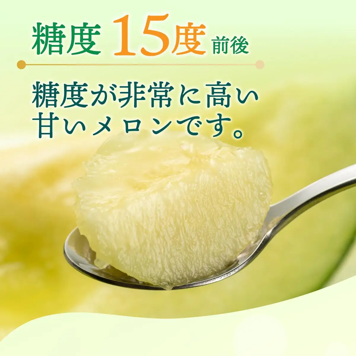 【2027年先行予約】北海道産 有珠メロン 2玉 セット 青肉 Lサイズ 1.6kg以上×2玉【55250476】