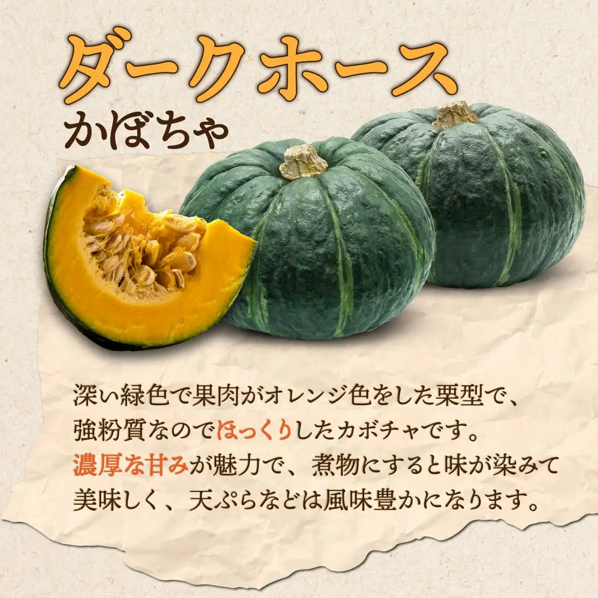 【 2026年 発送 】 先行予約 北海道 ダークホース かぼちゃ 5玉～7玉 約10kg【55250514】