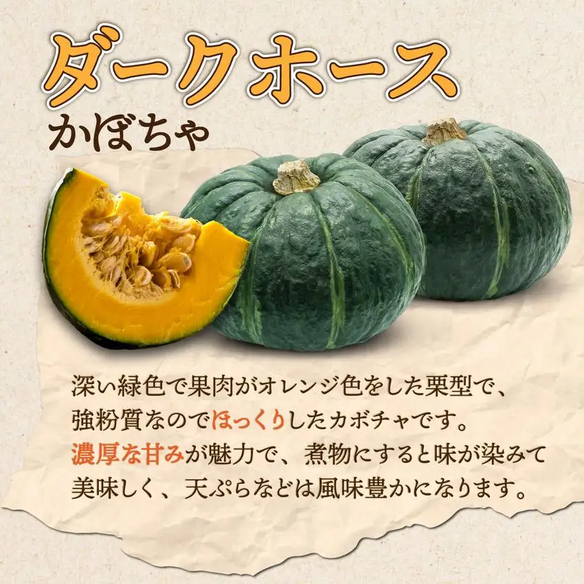 【 2026年 発送 】 先行予約 北海道 玉ねぎ かぼちゃセット 約20kg M-L混合 北はやて ダークホース【55250516】
