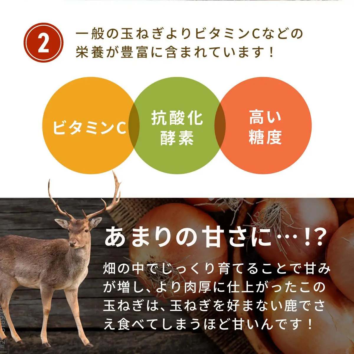 [5525-0654]※ チャリティー返礼品 ※ 伊達産【えったま333】の炒め玉ねぎ ソテードオニオン 200g×10袋（レトルト）