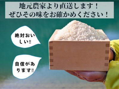 【令和6年産先行予約】米 白米 定期便 5kg×2ヶ月 10kg コシヒカリ 佐伯の里の源流米