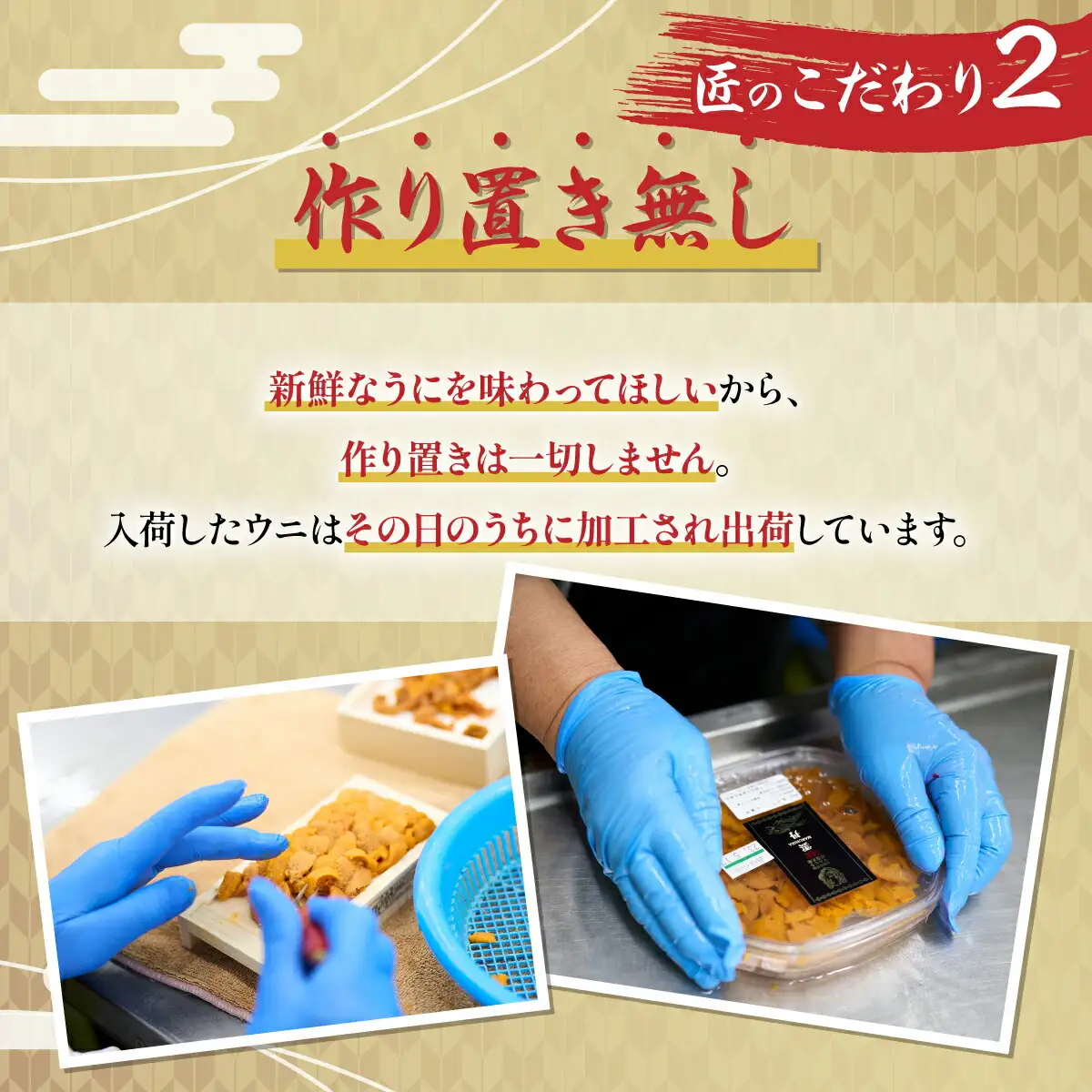 無添加 極上エゾバフンウニ 塩水パック 100g 【mh-0462_B】