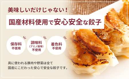 餃子 浜松餃子 160個 知久屋 山盛り セット 餃子
