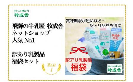乳製品 福袋 デラックスセット ヨーグルト 牛乳 種類おまかせ 福袋セット DF004