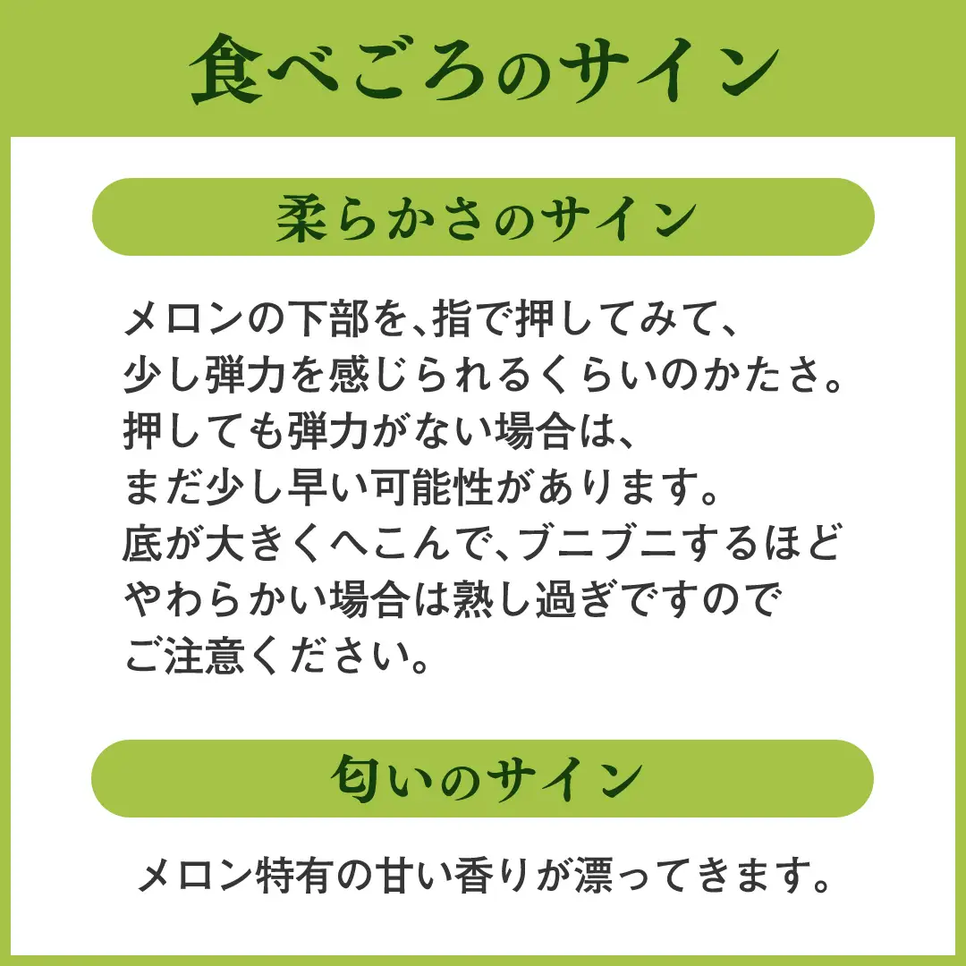 【先行予約】 メロン プリンスメロン 茨城県産 5kg 7~8玉 農家直送 果物 初夏