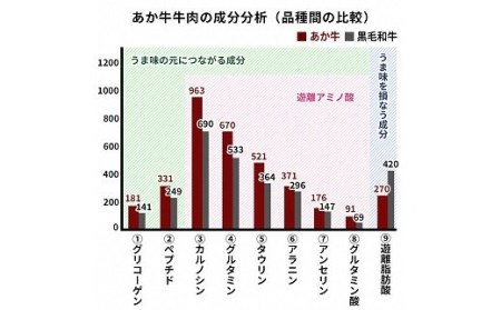 熊本県産 GI認証取得 くまもとあか牛 切り落とし 合計2kg
