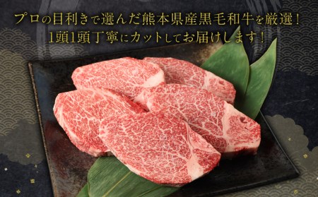 【数量限定】【超希少部位】熊本県産 黒毛和牛 A5ランク 高級 ヒレステーキ シャトーブリアン 100g×5枚セット 計500g