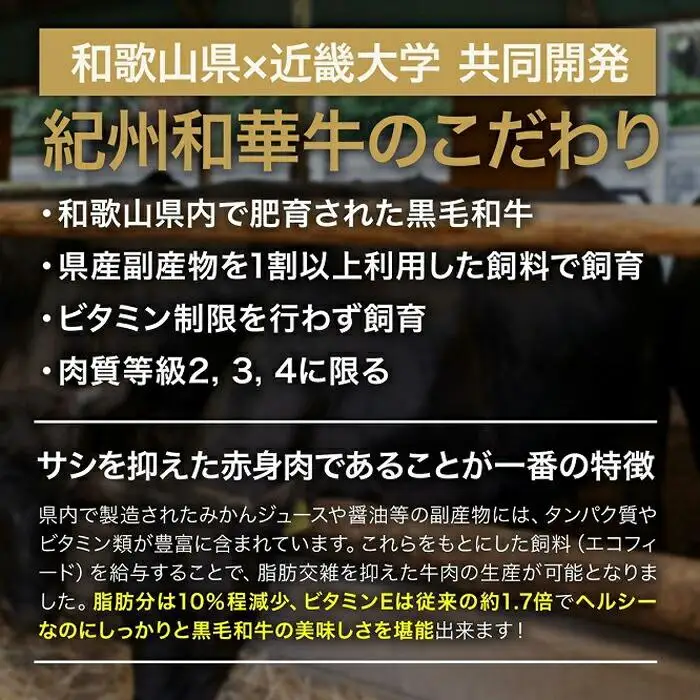 紀州和華牛 生ハンバーグ 10個入り