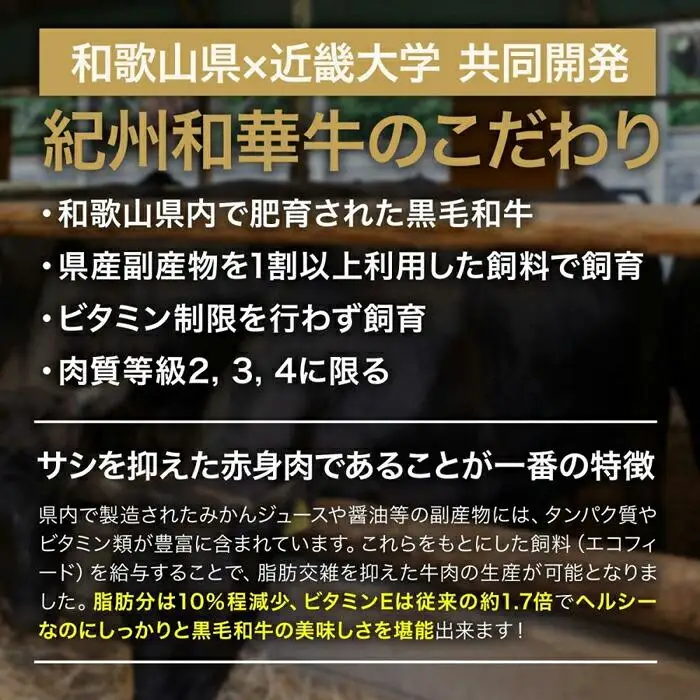 紀州和華牛・熊野牛 ハンバーグ食べ比べセット 6個入り