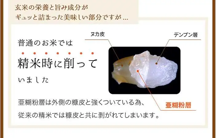BG 無洗米 金芽米 ベストセレクト10kg 5kg×2 計量カップ付き
