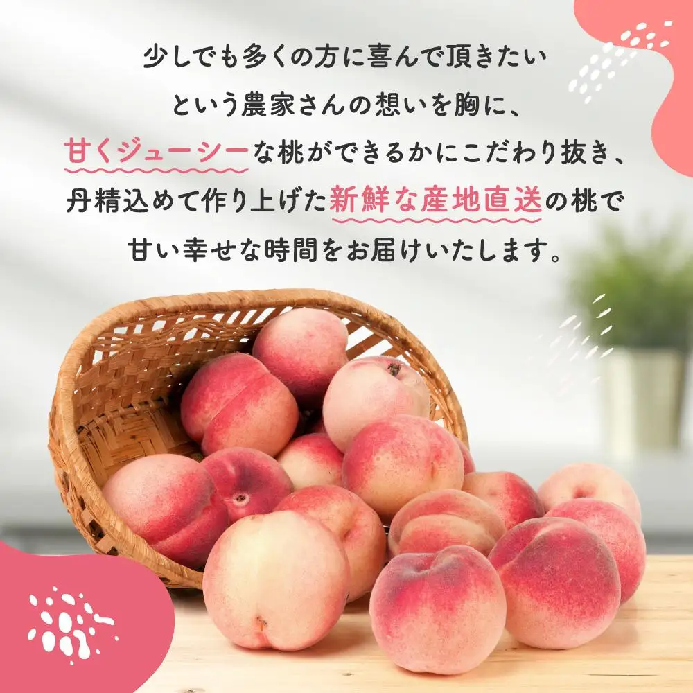 ［農園直送］朝採れ和歌山の桃　約2kg・秀品★2027年6月下旬頃～8月上旬頃順次発送★［TM167］