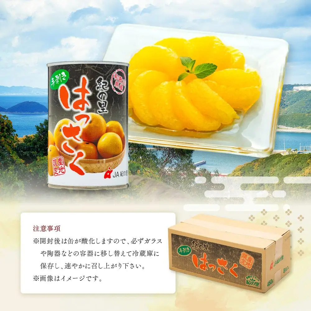 和歌山産手剥き八朔缶詰450g×8缶入り［TM14］