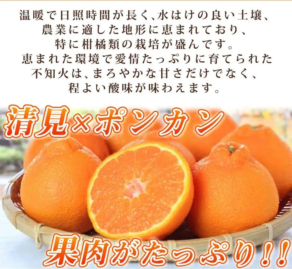 紀州有田産不知火(しらぬひ) 約５kg［2027年2月中旬以降発送］［先行予約］［UT40］