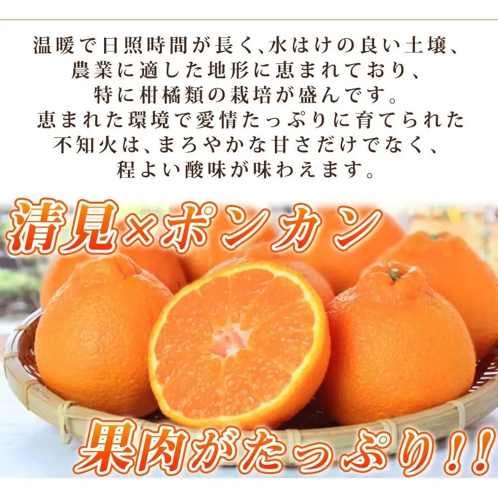 ［ご家庭用訳有り］紀州有田産不知火(しらぬひ) 約8.5kg［2027年2月中旬以降発送］［先行予約］［UT41］