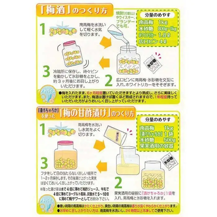 ［梅干・梅酒用］（LまたはM－10Kg）熟南高梅＜2027年6月上旬～7月中旬発送予定＞フルーツ 果物 くだもの 食品 人気 おすすめ 送料無料［ART08］