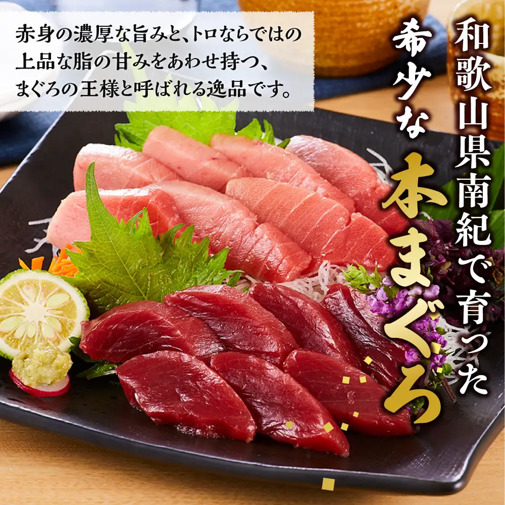 本マグロ（養殖）トロ＆赤身セット 3kg［KS14］