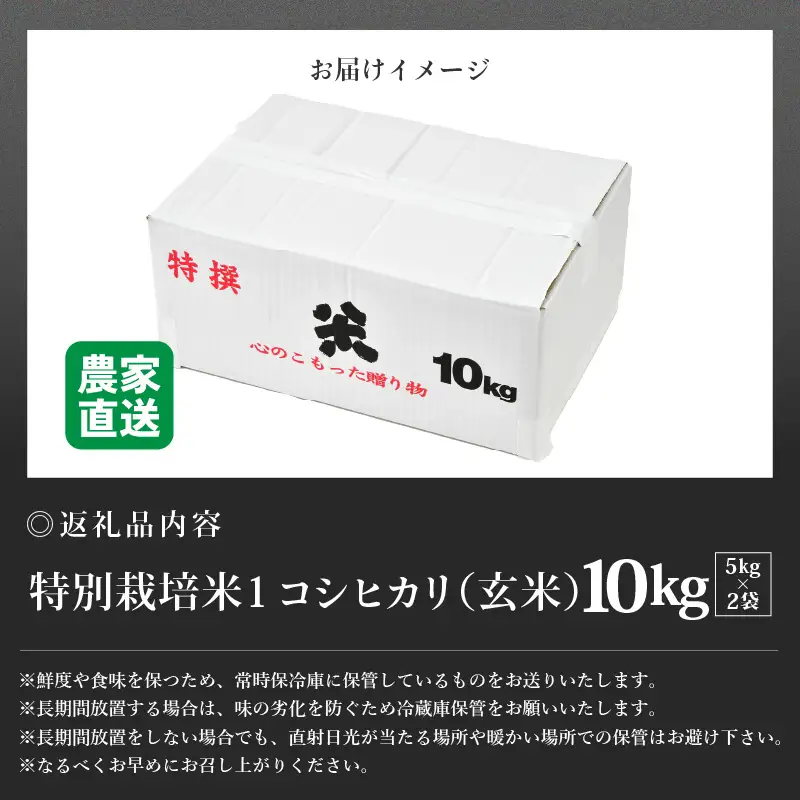 【先行予約】【令和8年産 新米】コシヒカリ 玄米 5kg×2袋（計10kg） 特別栽培米 農薬不使用 化学肥料不使用 ／ 残留農薬ゼロ 高品質 鮮度抜群 福井県産 ブランド米 ※2026年9月下旬より順次発送予定 [aw063-c008]