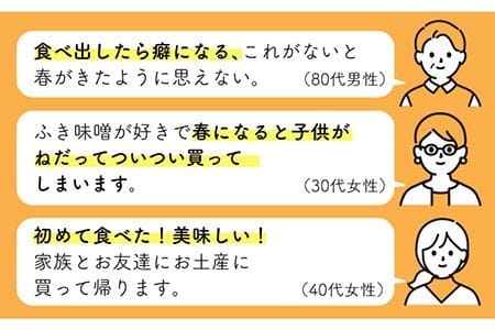 【春限定！ご飯のお供 万能調味料】国産 ふき味噌 10個セット【野下上絵】 [LE09]