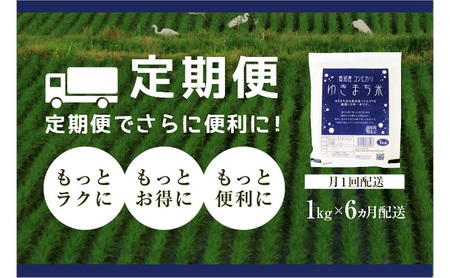 【定期便／6ヶ月】ゆきまち米1kg 極上魚沼産コシヒカリ お米 こしひかり 魚沼産こしひかり