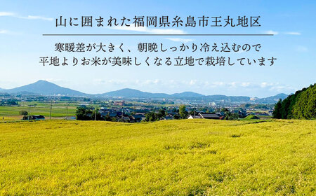 【全3回定期便】糸島産 ヒノヒカリ 5kg×3回 　糸島市 / 糸島王丸農園 ( 谷口汰一 )【いとしまごころ】 [AAZ011]