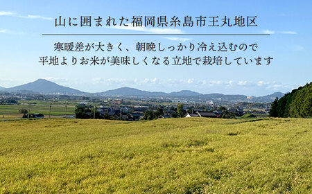 糸島産 ヒノヒカリ 10kg  糸島市 / 糸島王丸農園 ( 谷口汰一 )【いとしまごころ】 [AAZ014]
