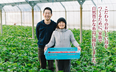 【先行受付】完熟 あまおう 270g × 4パック 苺 いちご【2027年1月以降順次発送】 《糸島》【slowberry strawberry】 [APJ001] ランキング 上位 人気 おすすめ