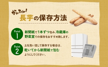 北海道産 青野農園 土つき 長いも 約5kg 5～7本 2026年11月下旬～1月中旬ごろお届け 先行予約 ながいも 土付き 北海道 長芋 自然薯 とろろ いも イモ 旬 野菜 農作物 産地直送 お取り寄せ 根菜