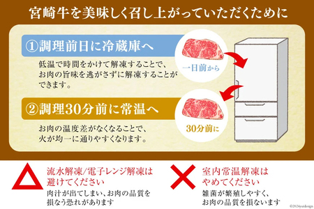 宮崎牛 ロース ステーキ 2枚 計500g
