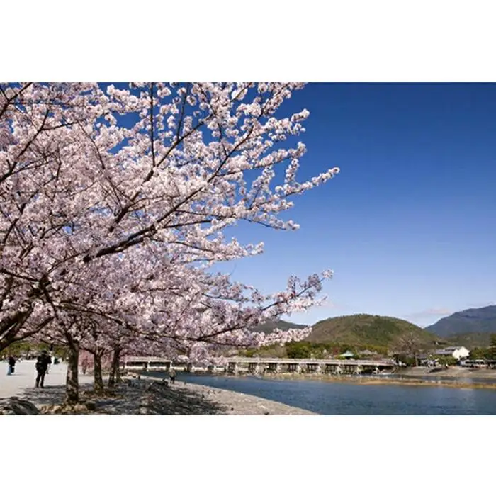 【京都市】JTBふるさと旅行券（90,000円分）有効期間5年 | 予約 宿泊 観光 体験 温泉 ホテル 旅館 チケット 子供 子連れ カップル 家族 店頭 電話 京都