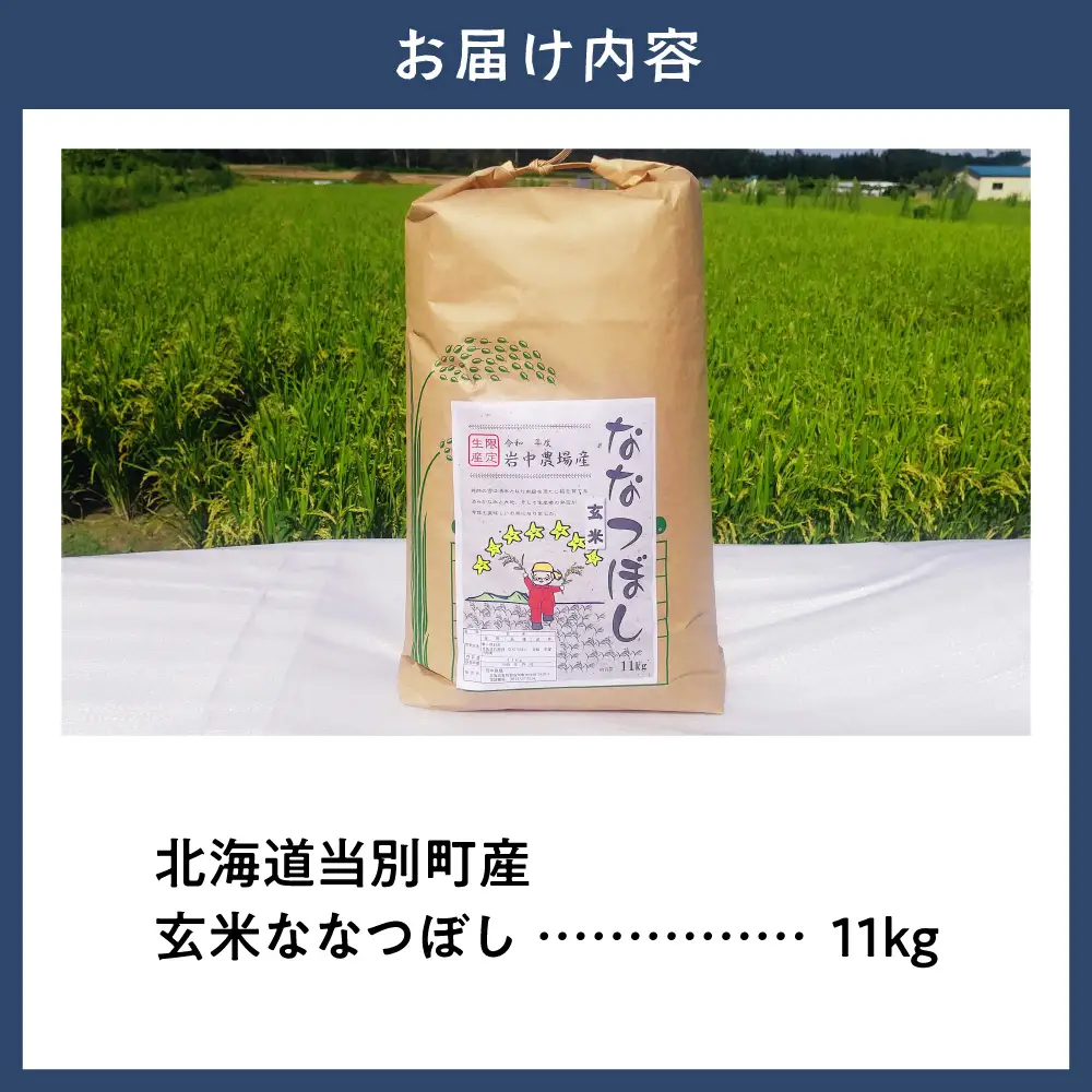 【令和8年度産米】玄米ななつぼし11kg | ななつぼし 玄米 米 コメ 北海道産 北海道 当別町