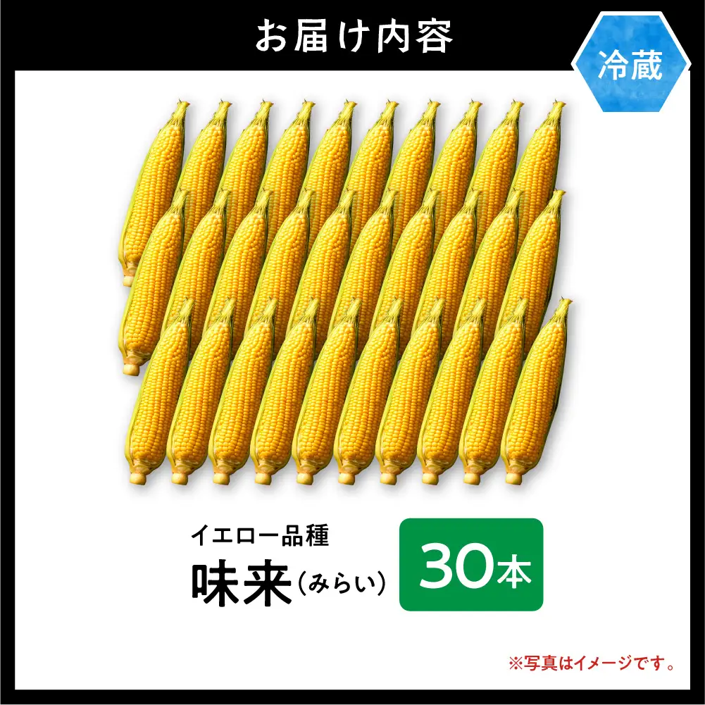 とうもろこし 30本  味来 北海道産トウモロコシ
